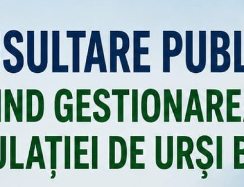 CONSULTARE PUBLICĂ PRIVIND GESTIONAREA POPULAȚIEI DE URȘI BRUNI